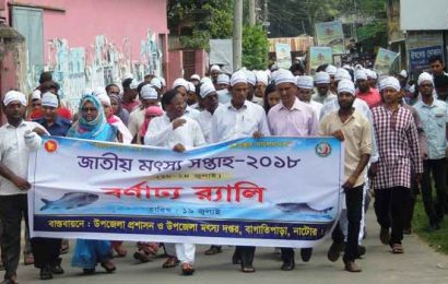 নাটোরের বাগাতিপাড়ায় মৎস্য সপ্তাহ উপলক্ষে র‌্যালি ও আলোচনা সভা।