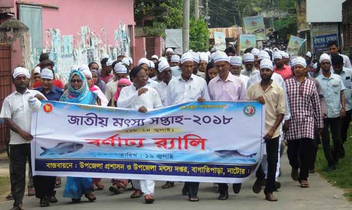 নাটোরের বাগাতিপাড়ায় মৎস্য সপ্তাহ উপলক্ষে র‌্যালি ও আলোচনা সভা।