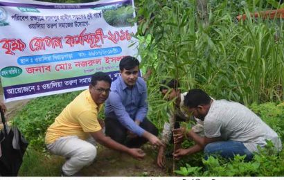 নাটোরে দুই কিলোমিটার জুড়ে ৩০০ বৃক্ষ রোপণ করলো ওয়ালিয়া তরুণ সমাজ!