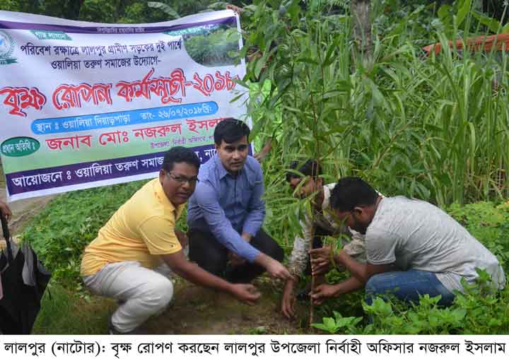 নাটোরে দুই কিলোমিটার জুড়ে ৩০০ বৃক্ষ রোপণ করলো ওয়ালিয়া তরুণ সমাজ!