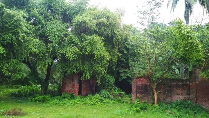 বিষ বৃষ্টি