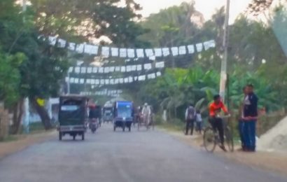 নাটোর ১ ও ২ আসনের নির্বাচনে হাড্ডাহাড্ডি লড়াই, শঙ্কা