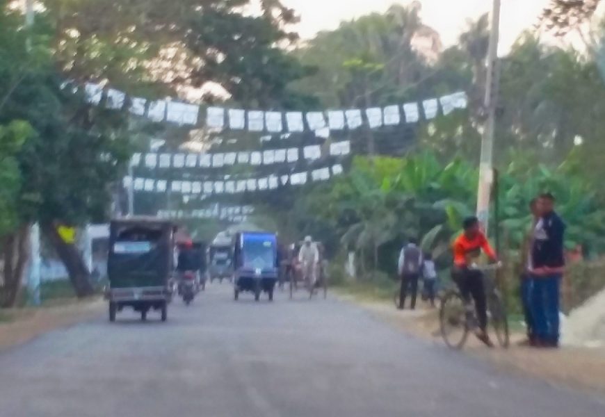 নাটোর ১ ও ২ আসনের নির্বাচনে হাড্ডাহাড্ডি লড়াই, শঙ্কা