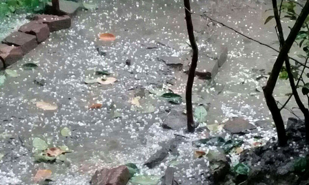 নাটোরের লালপুরে শিলাবৃষ্টিতে ফসলহানি; বিদ্যুৎ সংযোগ বিচ্ছিন্ন