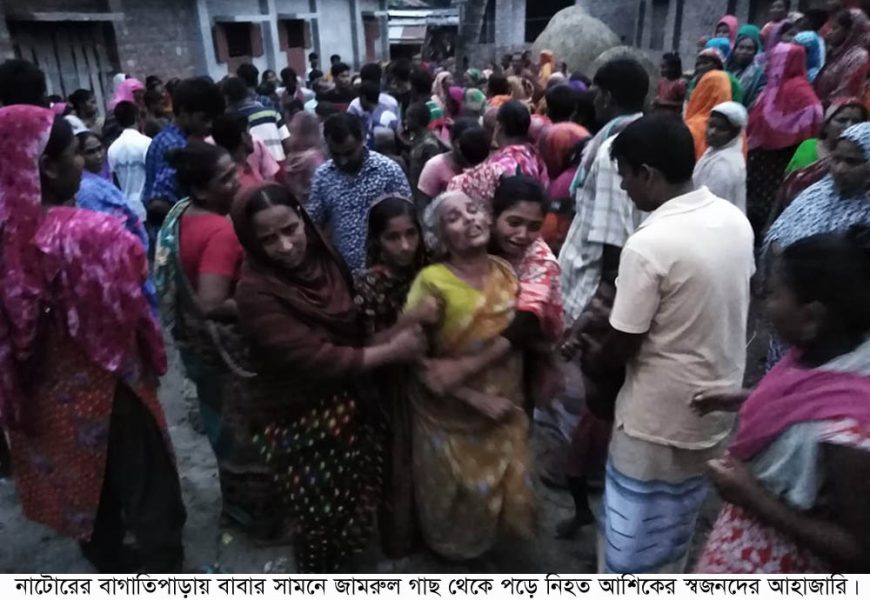 নাটোরে বাবার সামনে গাছ থেকে পড়ে ছেলের মৃত্যু