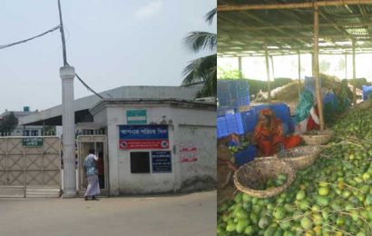 নাটোর কারখানায় আম পাল্পিং থেকে সরে আসছে প্রাণ এগ্রো