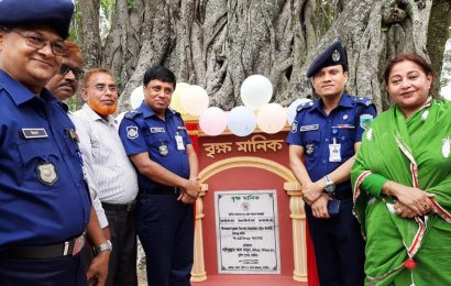 নাটোরে দুইশ’ বছরের বটগাছকে ‘বৃক্ষমানিক’ ঘোষণা