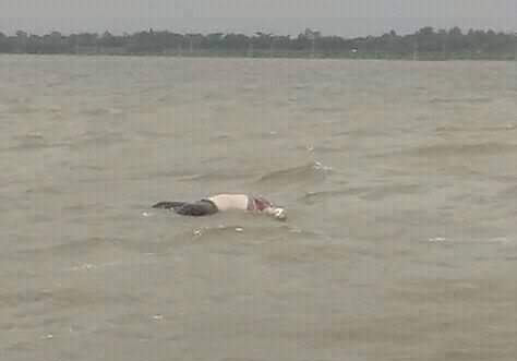 নাটোরে পানিতে নিখোঁজ শিক্ষকের মরদেহ উদ্ধার