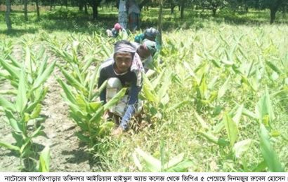 নাটোরে ভর্তির টাকা যোগাতে হলুদ ক্ষেতে কাজ করছেন জিপিএ-৫ পাওয়া রুবেল