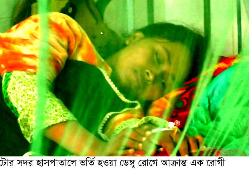 নাটোরে ডেঙ্গু রোগী বেড়ে ১৪ নাটোরে ডেঙ্গু রোগী বেড়ে ১৪