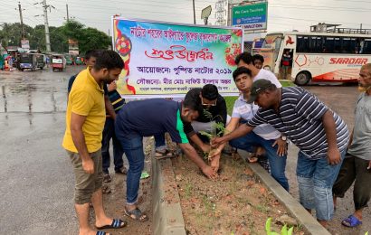 নাটোরে সম্প্রসারিত সড়কের ডিভাইডারে ফুল গাছ রোপণ