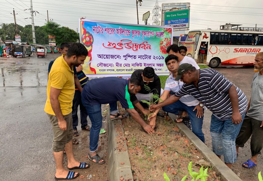 নাটোরে সম্প্রসারিত সড়কের ডিভাইডারে ফুল গাছ রোপণ