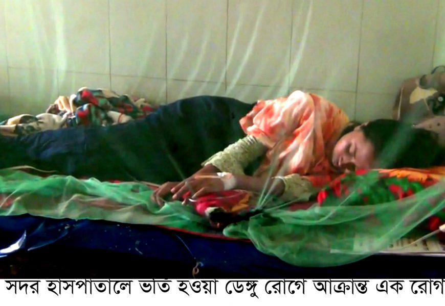 নাটোরে অর্ধ শতাধিক ডেঙ্গু রোগী সনাক্ত, কীট সংকট 
