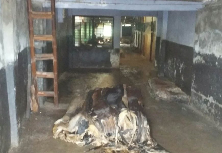 নাটোরের চামড়া ব্যবসায়ীদের পাওনা শতকোটি টাকা