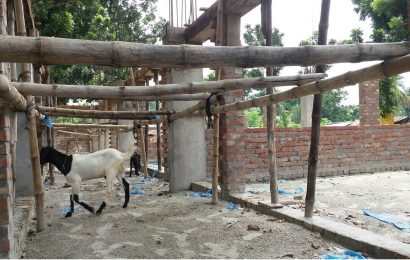 নাটোরে এক ভবনে ‘দুই ফাউন্ডেশন’ কার্যাদেশ; নির্মাণকাজ বন্ধ