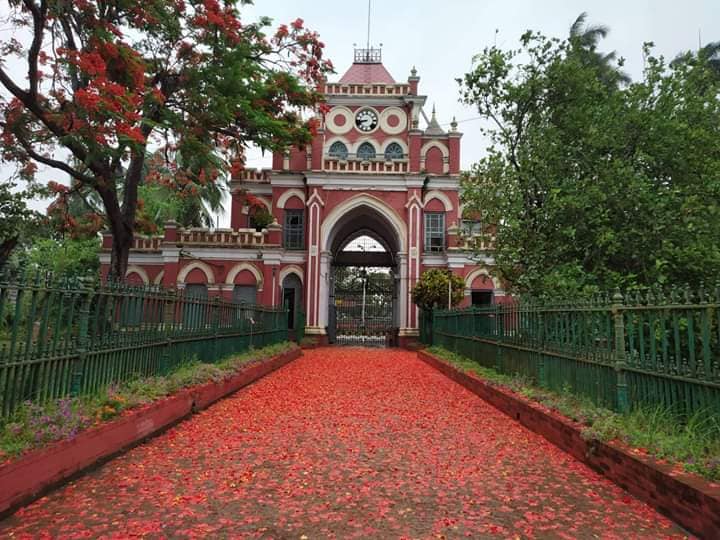 নাটোর