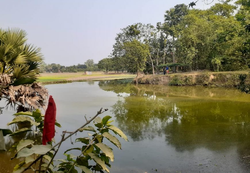 নাটোরে ৩টি সরকারী পুকুর দখলমুক্ত