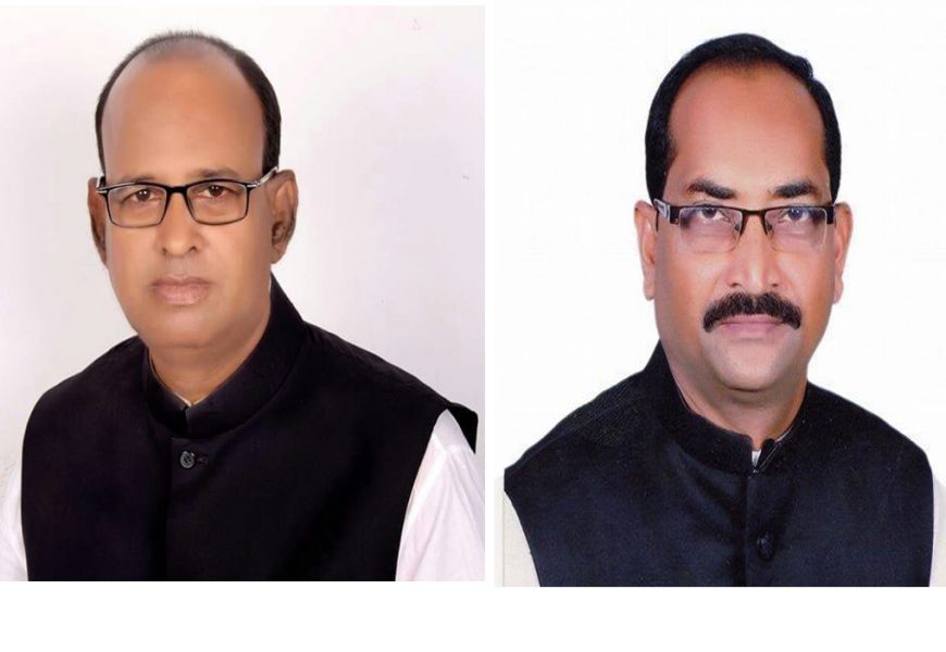 নাটোর সদর উপজেলা আ’লীগের নেতৃত্বে আনু-জহুরুল