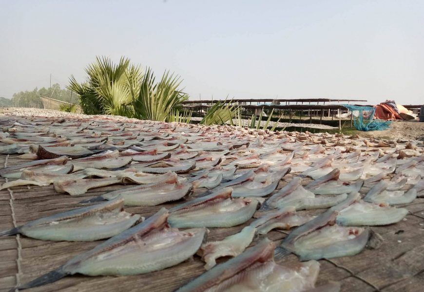 নাটোরের সুস্বাদু শুটকির কদর দেশজুড়ে