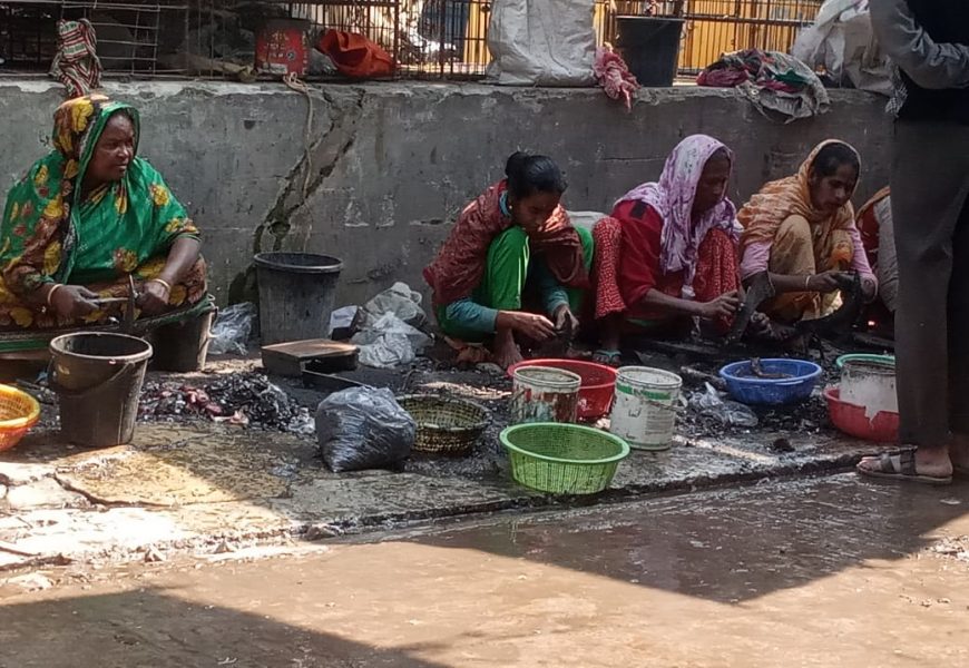 নাটোরে মাছ কুটেই জীবিকা ওদের