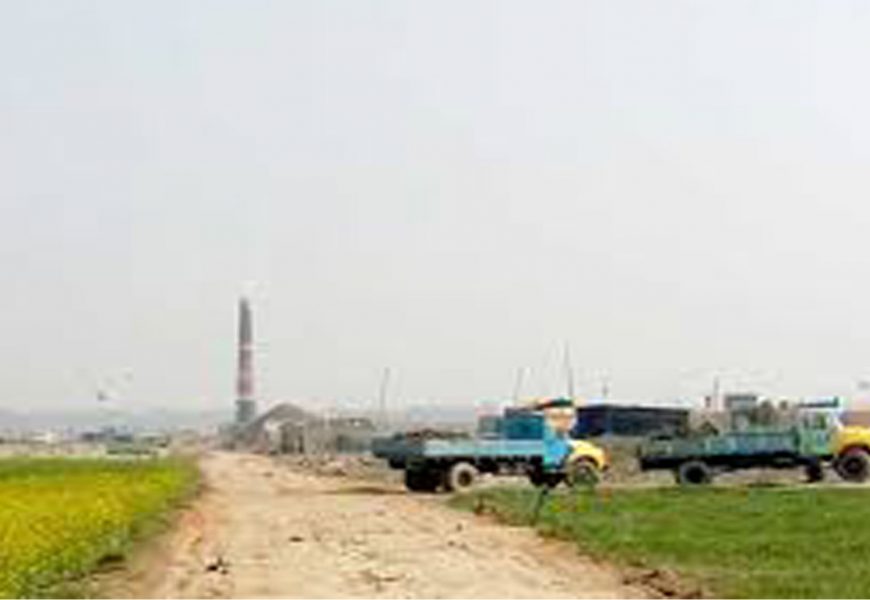 নাটোরে ৬ ইটভাটায় অভিযান, ৮ লাখ টাকা জরিমানা