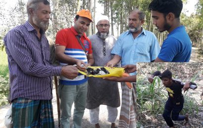 নাটোরে প্রকাশ্যে পাখি শিকার, এয়ারগান জব্দ