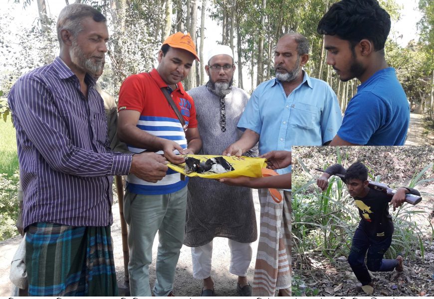 নাটোরে প্রকাশ্যে পাখি শিকার, এয়ারগান জব্দ