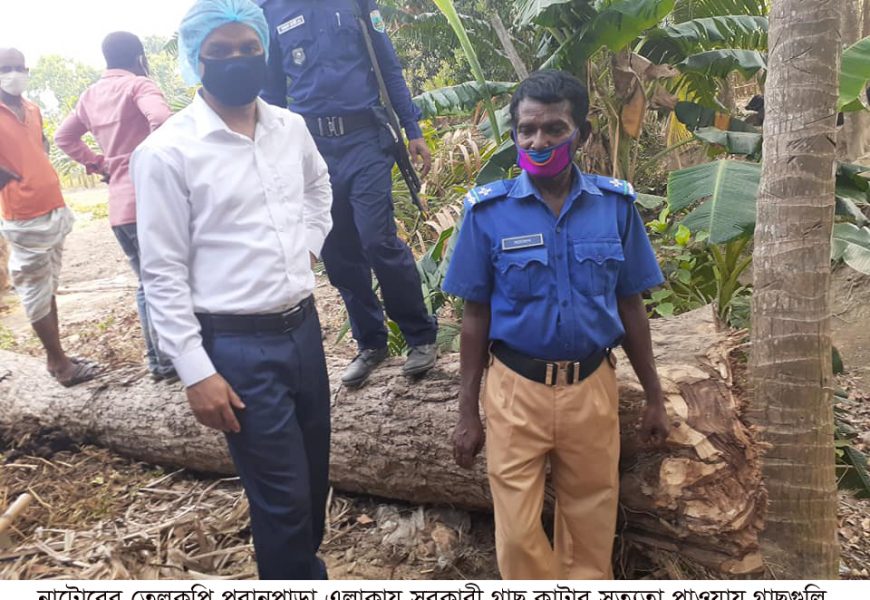 নাটোরে গাছ কাটাতে বাধা দেয়া ব্যক্তিকে প্রাণনাশের হুমকি আ’লীগ নেতার