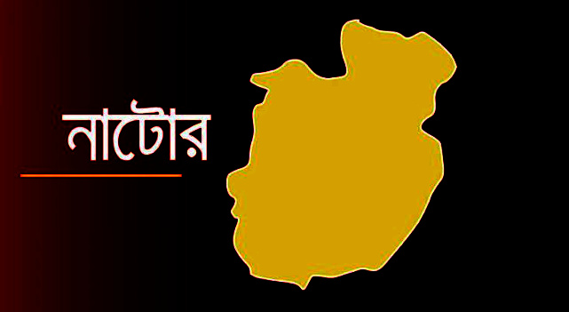 নাটোরে কাজের মেয়েকে ধর্ষণের অভিযোগে আ’লীগ নেতা আটক