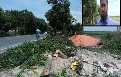 নাটোরে ৪৫টি আমগাছ ৯৬০০ টাকায় বিক্রি করলো বরেন্দ্র বহুমুখী কর্তৃপক্ষ!