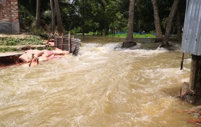 নাটোরে বন্যা পরিস্থিতিতে পলকের নির্দেশনা