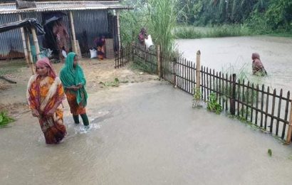 নাটোরে বন্যা পরিস্থিতিতে পলকের নির্দেশনা