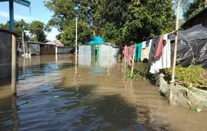 নাটোরের সিংড়ায় বন্যা পরিস্থিতির অবনতি