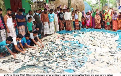 নাটোরে বিষ প্রয়োগে লক্ষাধিক টাকার মাছ নিধন