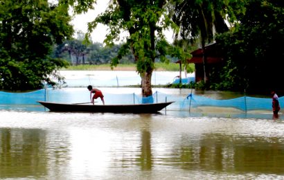 নাটোরে ৩৫০ মাছের ঘের পানিতে বিলীন, ক্ষতি সাড়ে ৩ কোটি টাকা