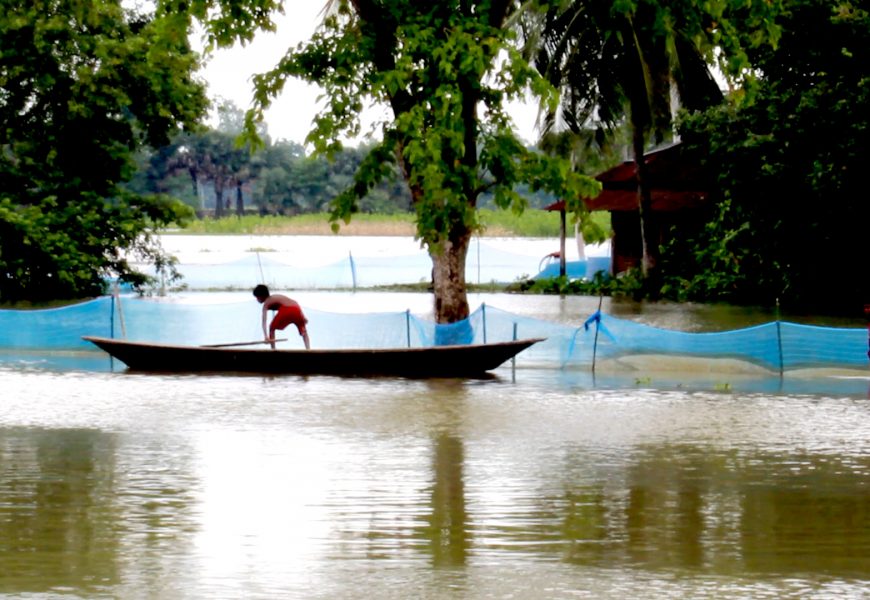 নাটোরে ৩৫০ মাছের ঘের পানিতে বিলীন, ক্ষতি সাড়ে ৩ কোটি টাকা