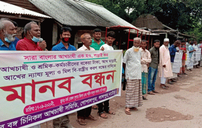 লালপুরে নর্থ বেঙ্গল সুগার মিলে বকেয়া পরিশোধের দাবিতে আখচাষীদের মানববন্ধন