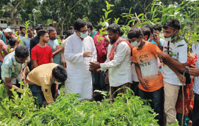 মুজিব শতবর্ষে সিংড়া উপজেলায় এক লাখ বৃক্ষ রোপণ করা হবে