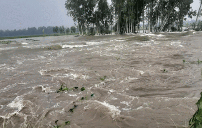 সিংড়ায় আত্রাই নদীতে পানি প্রবাহের অতীতের রেকর্ড ভঙ্গ