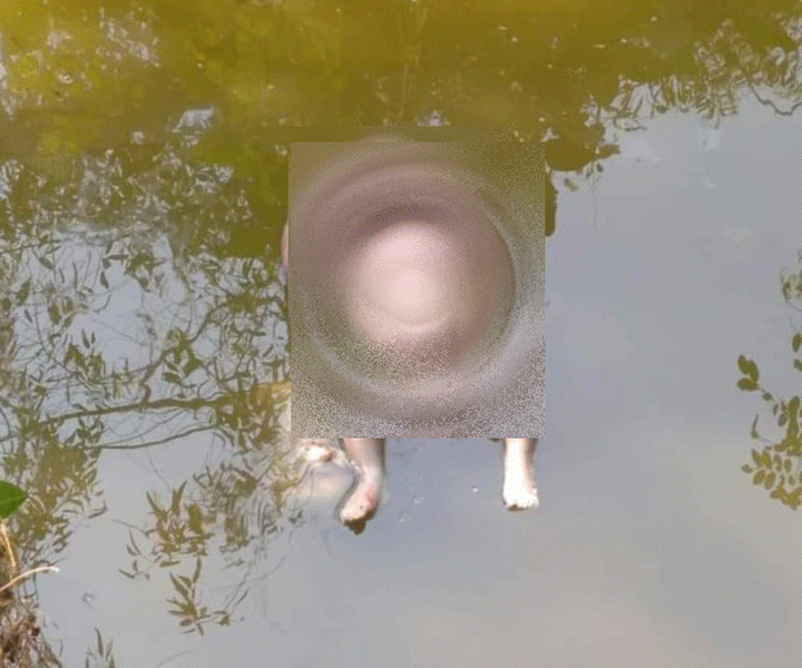 সিংড়ায় পুকুর থেকে অজ্ঞাত নবজাতক কন্যা শিশুর মৃতদেহ উদ্ধার সিংড়ায় পুকুর থেকে অজ্ঞাত নবজাতক কন্যা শিশুর মৃতদেহ উদ্ধার