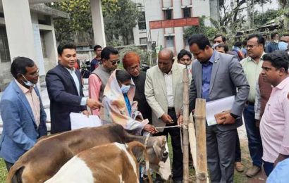 বড়াইগ্রামে শিক্ষার্থীদের মাঝে অনুদান বিতরণ