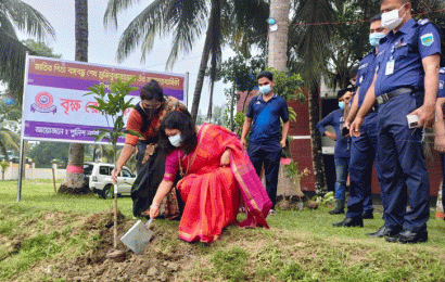 নাটোরে পুনাক ও পুলিশের বৃক্ষরোপণ