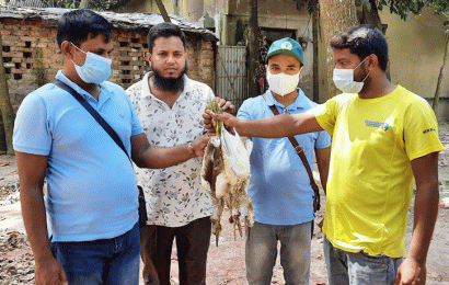 সিংড়ার বেদে পল্লী থেকে জবাইকৃত ৪টি বক পাখি উদ্ধার