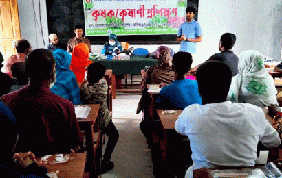 নলডাঙ্গায় গৌরমতি জাতের আমসহ বিভন্ন সবজি চারা বিতরণ