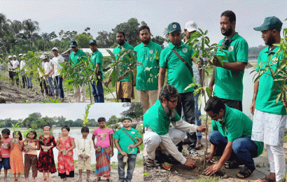 প্রধানমন্ত্রীর জন্মদিনে সিংড়ায় বাড়ি বাড়ি বৃক্ষরোপন