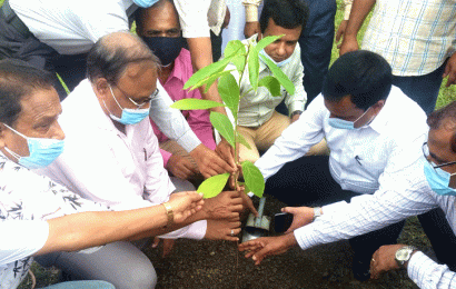 নাটোর চিনিকলে বৃক্ষরোপণ উদ্বোধন