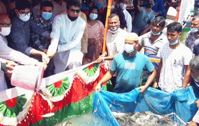 শেখ হাসিনার নেতৃত্বে সমৃদ্ধি অর্জন করছে দেশ – এমপি শিমুল