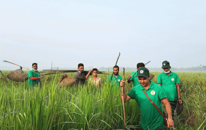 চলনবিলের পরিবেশ রক্ষায় উদ্যমী ১১ জন!