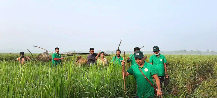 চলনবিলের পরিবেশ রক্ষায় উদ্যমী ১১ জন!