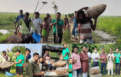 মুক্ত আকাশে উড়লো ৮০১টি পাখি; চলনবিলের ৩ শিকারী আটক